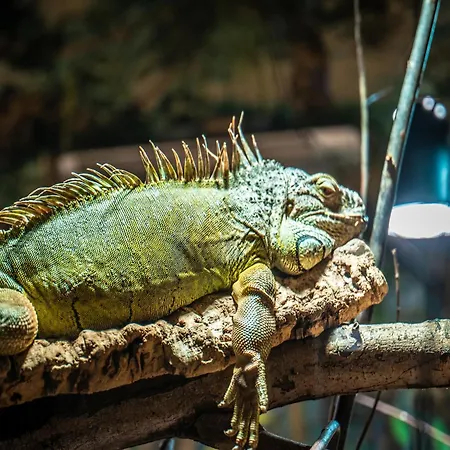 Im Freizeitpark Weissenhaeuser *