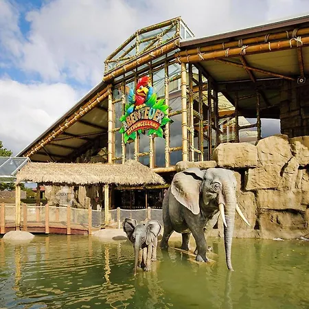 公寓 Im Freizeitpark Weissenhaeuser 维森豪瑟斯坦德
