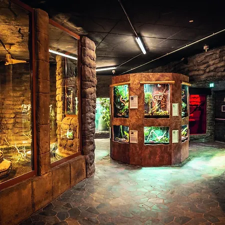 Im Freizeitpark Weissenhaeuser Apartament *